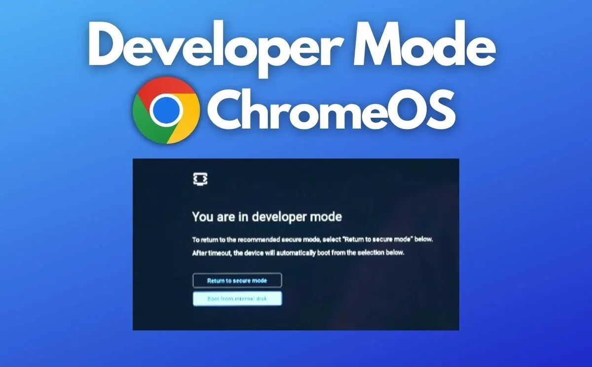 Enabling Developer Mode on Chromebooks: Tips, Tricks, and Warnings